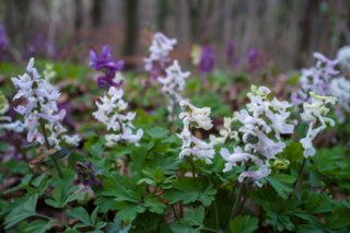 20120402_braunsbach-doettingen_049