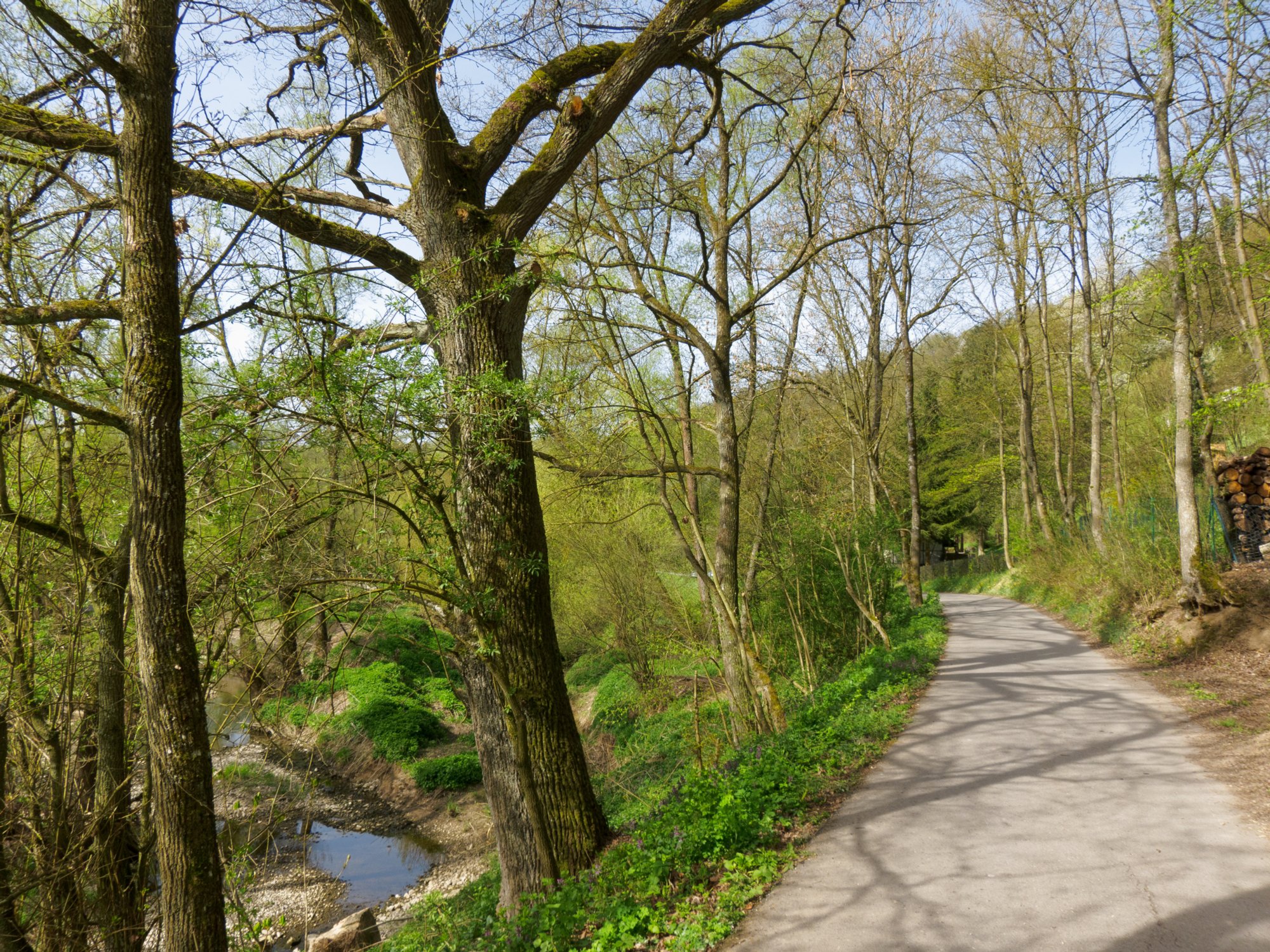Im Kochertal Im Kochertal. - Wanderung von Obermünkheim über den Lindenhof zur Archebrücke. Von dort zur Ruine Eichenhaldenkelter und über die Schleifbachklinge nach Sülz. Von Sülz zur Ruine Geyersburg und über den Lindenhof wieder zurück nach Obermünkheim.