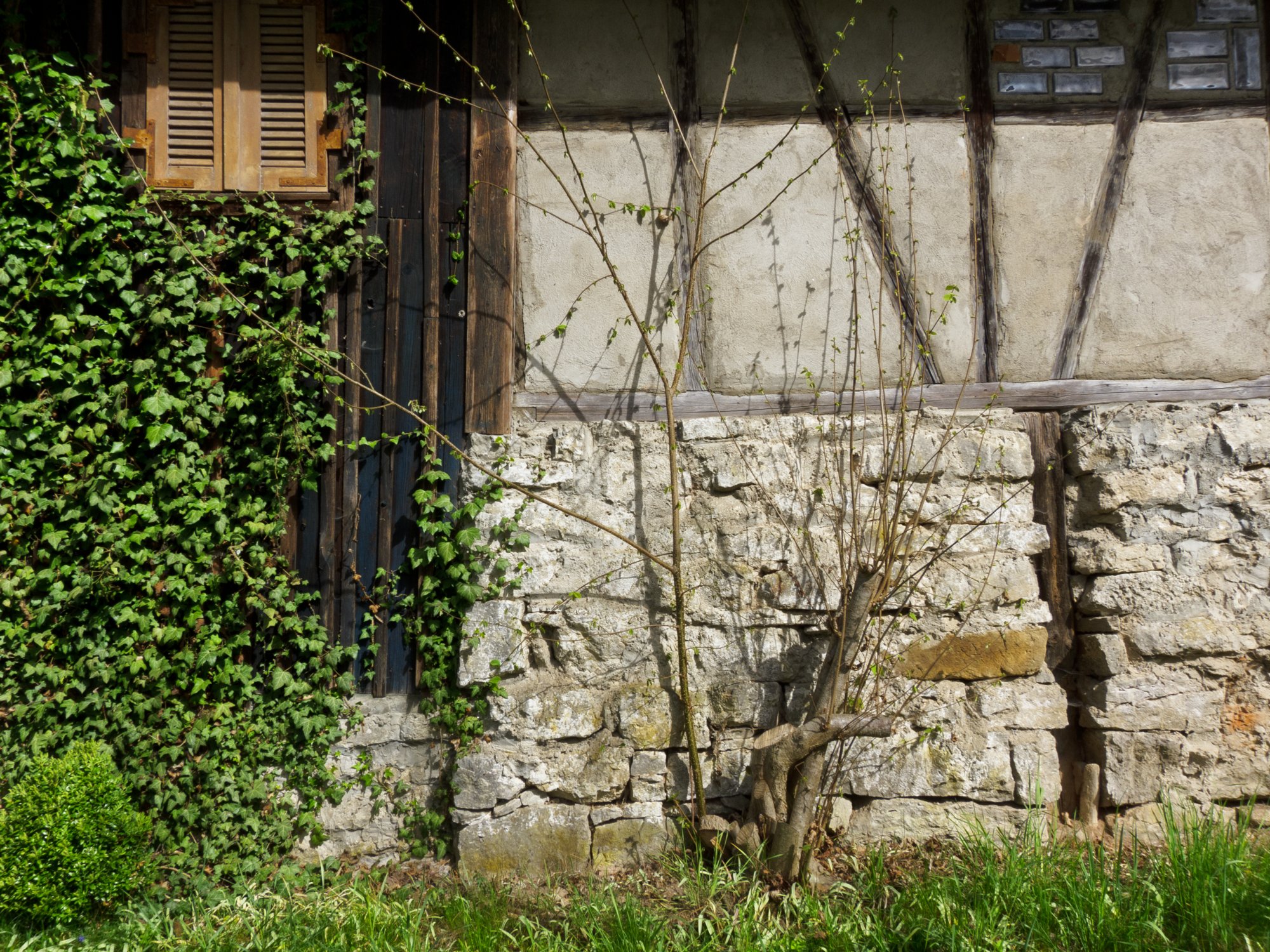 Im Kochertal Im Kochertal. - Wanderung von Obermünkheim über den Lindenhof zur Archebrücke. Von dort zur Ruine Eichenhaldenkelter und über die Schleifbachklinge nach Sülz. Von Sülz zur Ruine Geyersburg und über den Lindenhof wieder zurück nach Obermünkheim.