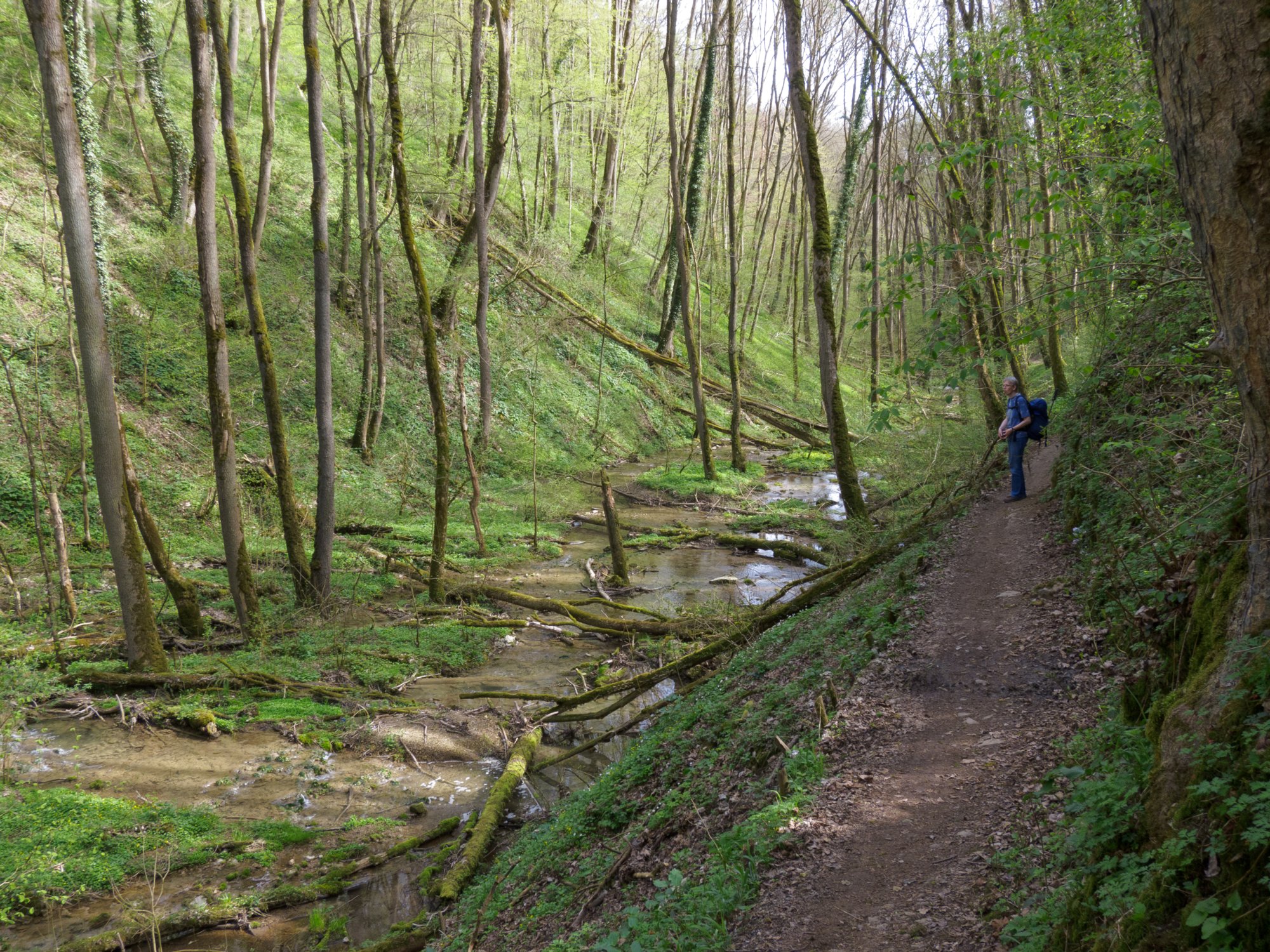 Schleifbachklinge Schleifbachklinge mit künstlich angelegtem Wasserfall. - Wanderung von Obermünkheim über den Lindenhof zur Archebrücke. Von dort zur Ruine Eichenhaldenkelter und über die Schleifbachklinge nach Sülz. Von Sülz zur Ruine Geyersburg und über den Lindenhof wieder zurück nach Obermünkheim.