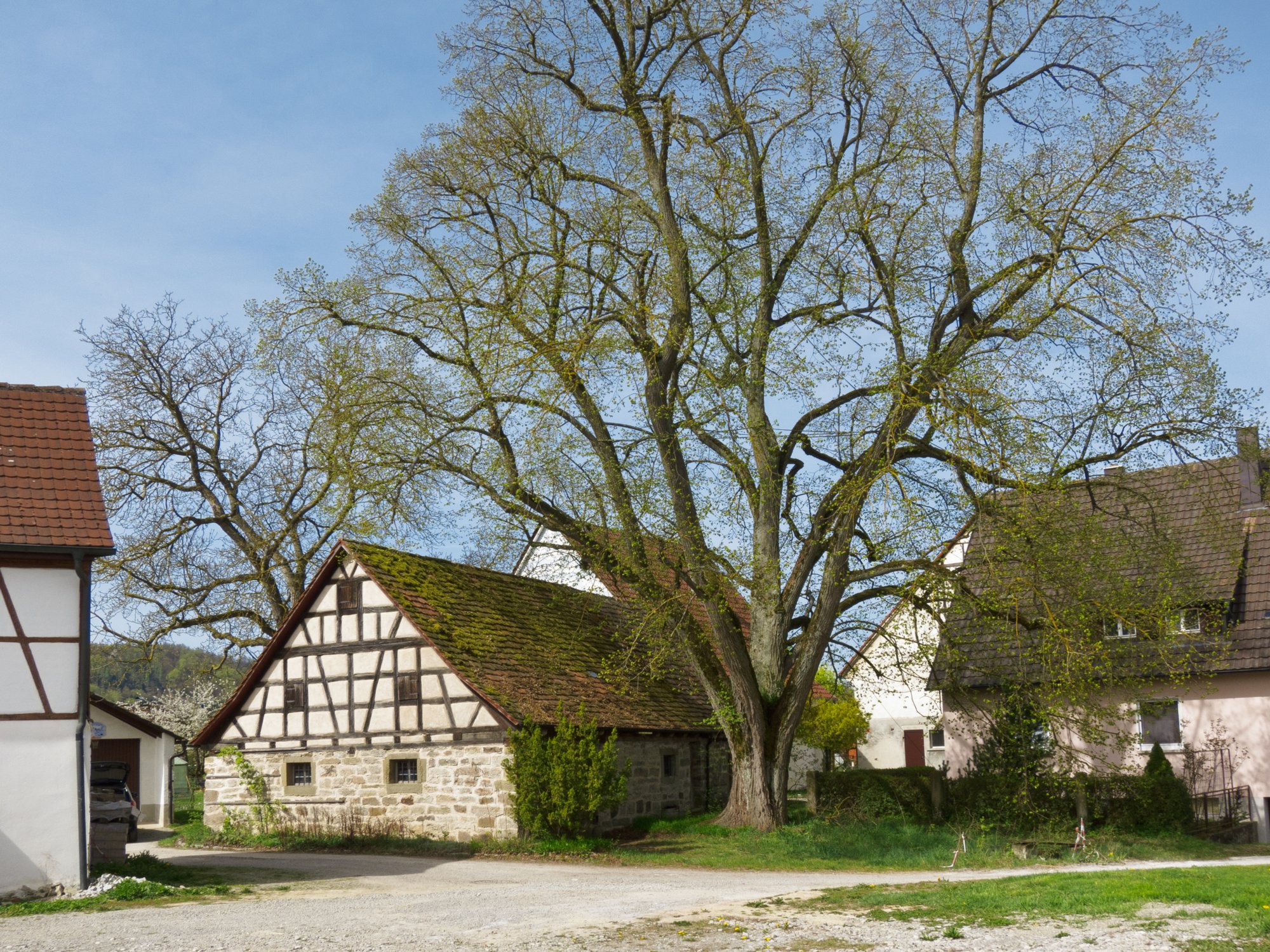 Ortschaft Sülz Ortschaft Sülz.- Wanderung von Obermünkheim über den Lindenhof zur Archebrücke. Von dort zur Ruine Eichenhaldenkelter und über die Schleifbachklinge nach Sülz. Von Sülz zur Ruine Geyersburg und über den Lindenhof wieder zurück nach Obermünkheim.
