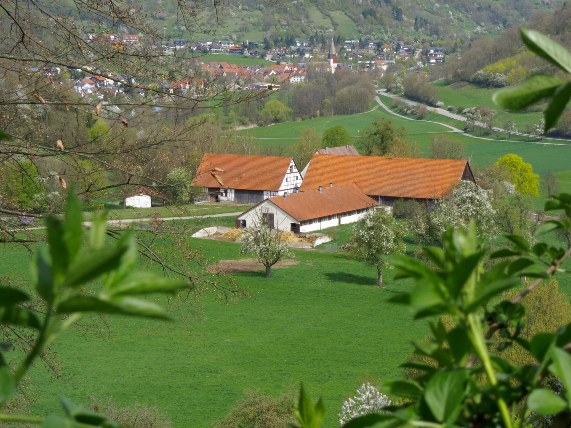 Blick von der Ruine Geyersburg auf den Lindenhof Blick von der Ruine Geyersburg auf den Lindenhof. - Wanderung von Obermünkheim über den Lindenhof zur Archebrücke. Von dort zur Ruine Eichenhaldenkelter und über die Schleifbachklinge nach Sülz. Von Sülz zur Ruine Geyersburg und über den Lindenhof wieder zurück nach Obermünkheim.