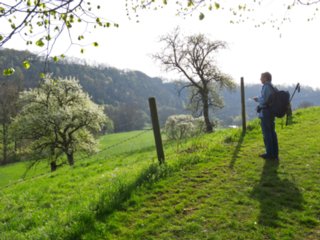 Beim Lindenhof Beim Lindenhof. - Wanderung von Obermünkheim über den Lindenhof zur Archebrücke. Von dort zur Ruine Eichenhaldenkelter und über die Schleifbachklinge nach Sülz....