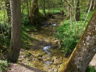 20110411_geyersburg_050