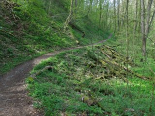 20110411_geyersburg_051