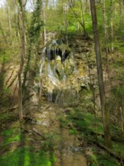 20110411_geyersburg_056