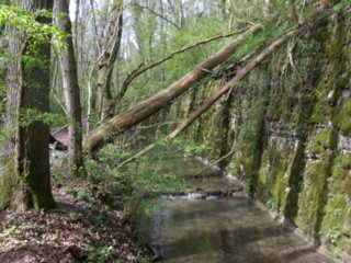 20110411_geyersburg_060