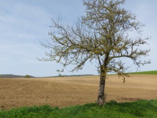 20110411_geyersburg_066