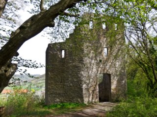 20110411_geyersburg_069