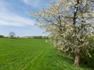 20110411_geyersburg_072