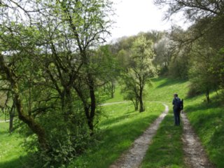 20110411_geyersburg_077