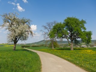 20110422_kochersteg_001