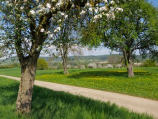 20110422_kochersteg_004