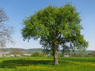20110422_kochersteg_005