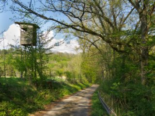 20110422_kochersteg_007