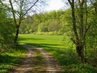 20110422_kochersteg_008