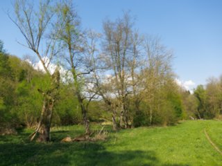 20110422_kochersteg_012