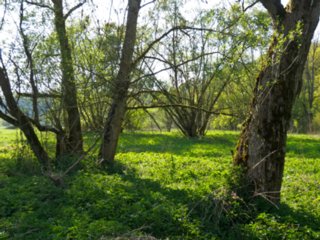 20110422_kochersteg_015