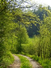 20110422_kochersteg_018