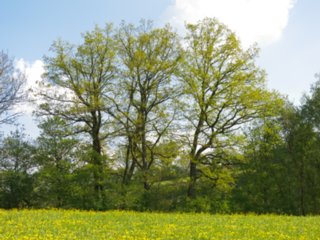 20110422_kochersteg_019