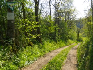 20110422_kochersteg_024