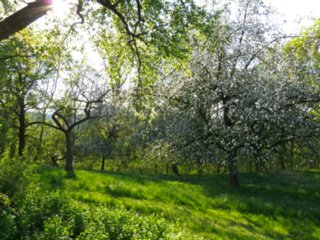 20110422_kochersteg_036