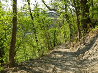 20110422_kochersteg_037