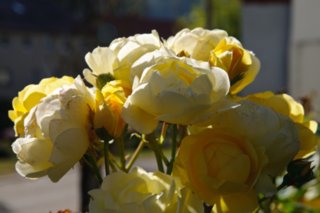 20101011_stetten_tierberg_006
