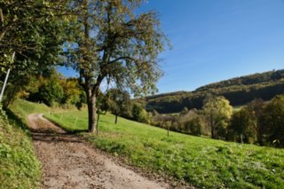 20101011_stetten_tierberg_015