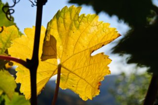 20101011_stetten_tierberg_017