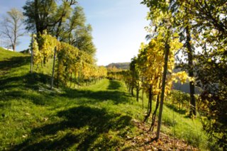 20101011_stetten_tierberg_019