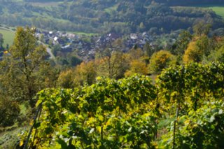 20101011_stetten_tierberg_022