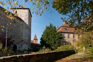 20101011_stetten_tierberg_044-1