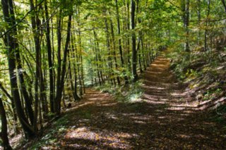 20101011_stetten_tierberg_071-1
