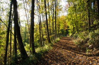 20101011_stetten_tierberg_092-1