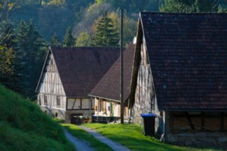 20101011_stetten_tierberg_094-1