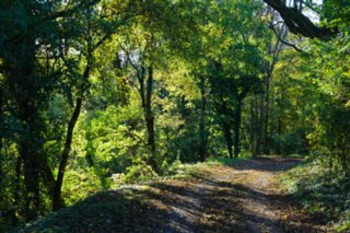 20101011_stetten_tierberg_102-1