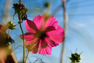 20101011_stetten_tierberg_117-1