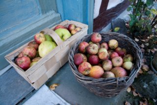 20101011_stetten_tierberg_139-1