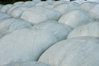20101011_stetten_tierberg_169-1