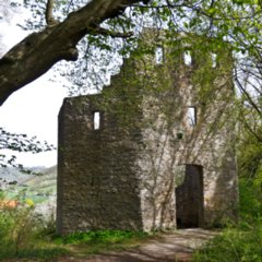 Geyersburg_2011-04-11