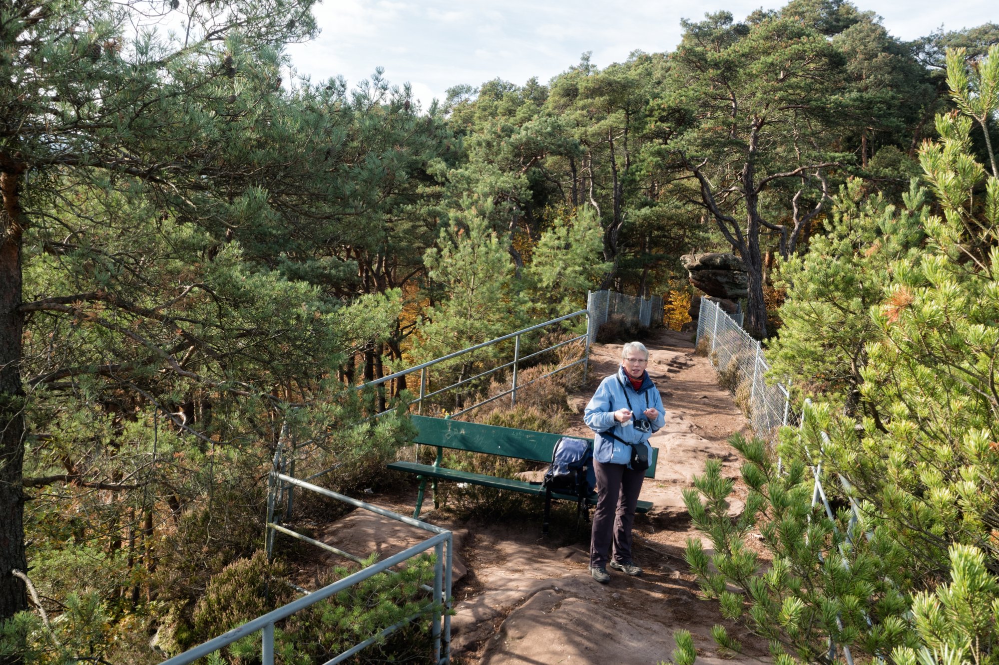 Schwalbenfels Dahner Felsenpfad (westlicher Teil). Start und Endpunkt: Parkplatz FelsenGraf /Steakhous, Im Büttelwoog 2.