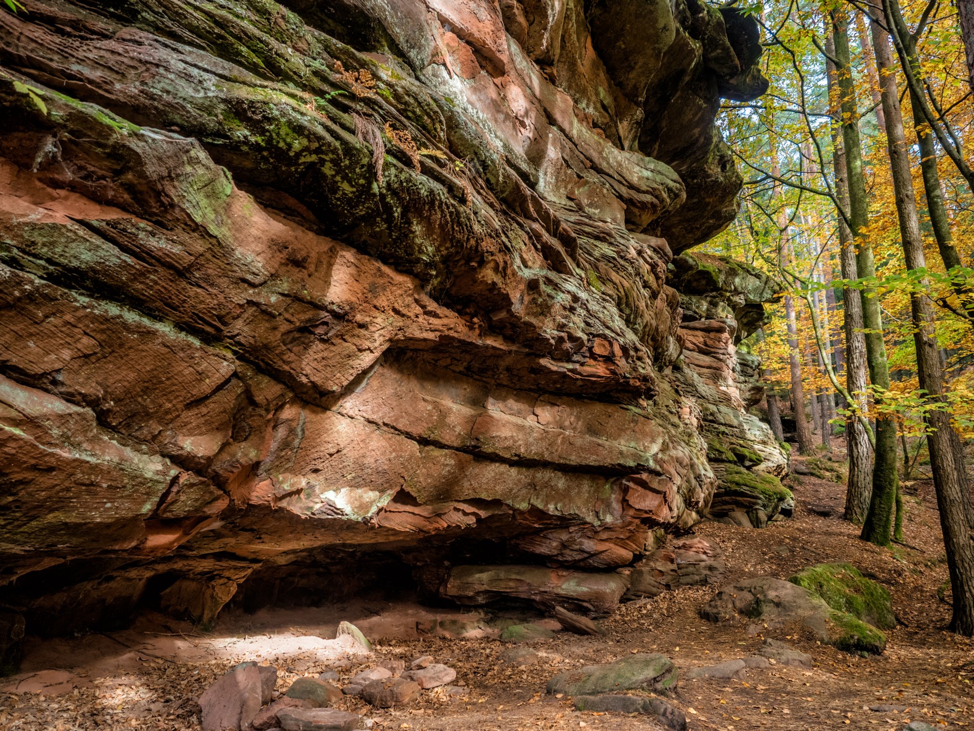Schlangenfelsen, Mooskopf und Roßkegelfelsen Dahner Felsenpfad (westlicher Teil). Start und Endpunkt: Parkplatz FelsenGraf /Steakhous, Im Büttelwoog 2.