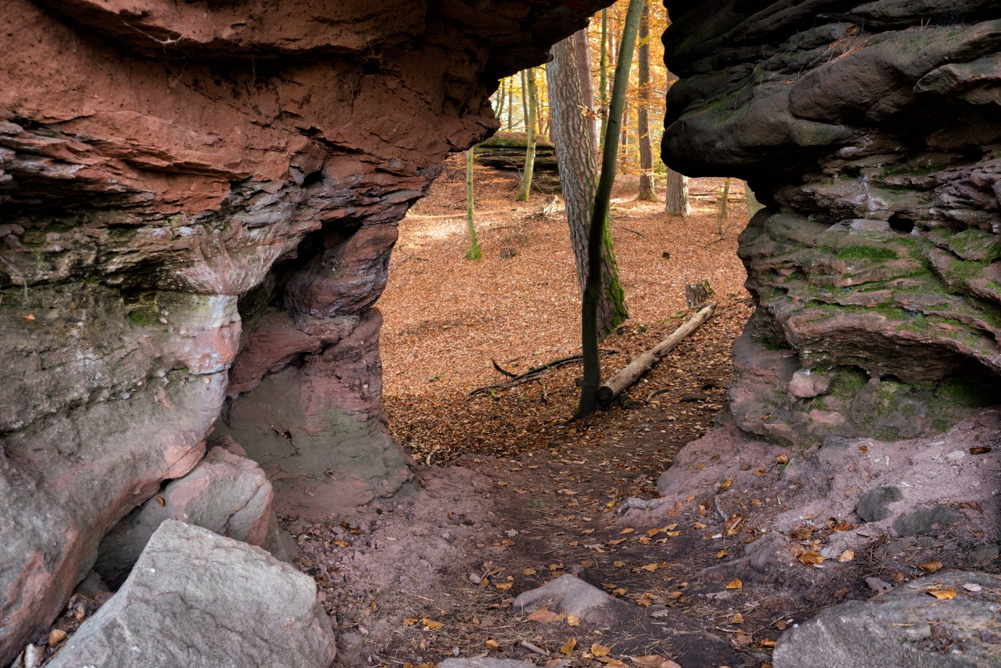 Ungeheuerfelsen Dahner Felsenpfad (westlicher Teil). Start und Endpunkt: Parkplatz FelsenGraf /Steakhous, Im Büttelwoog 2.