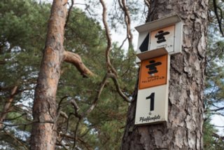 Pfaffenfels Dahner Felsenpfad (westlicher Teil). Start und Endpunkt: Parkplatz FelsenGraf /Steakhous, Im Büttelwoog 2.