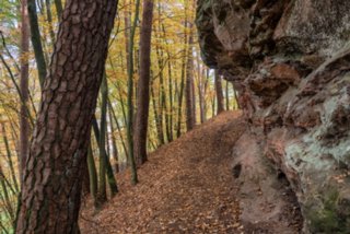 Dahner Felsenpfad Dahner Felsenpfad (westlicher Teil). Start und Endpunkt: Parkplatz FelsenGraf /Steakhous, Im Büttelwoog 2.