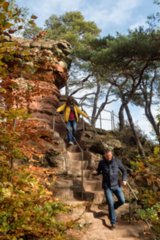 Schwalbenfels Dahner Felsenpfad (westlicher Teil). Start und Endpunkt: Parkplatz FelsenGraf /Steakhous, Im Büttelwoog 2.