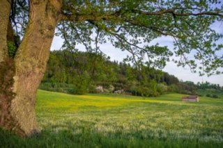 20120510_horschel_008