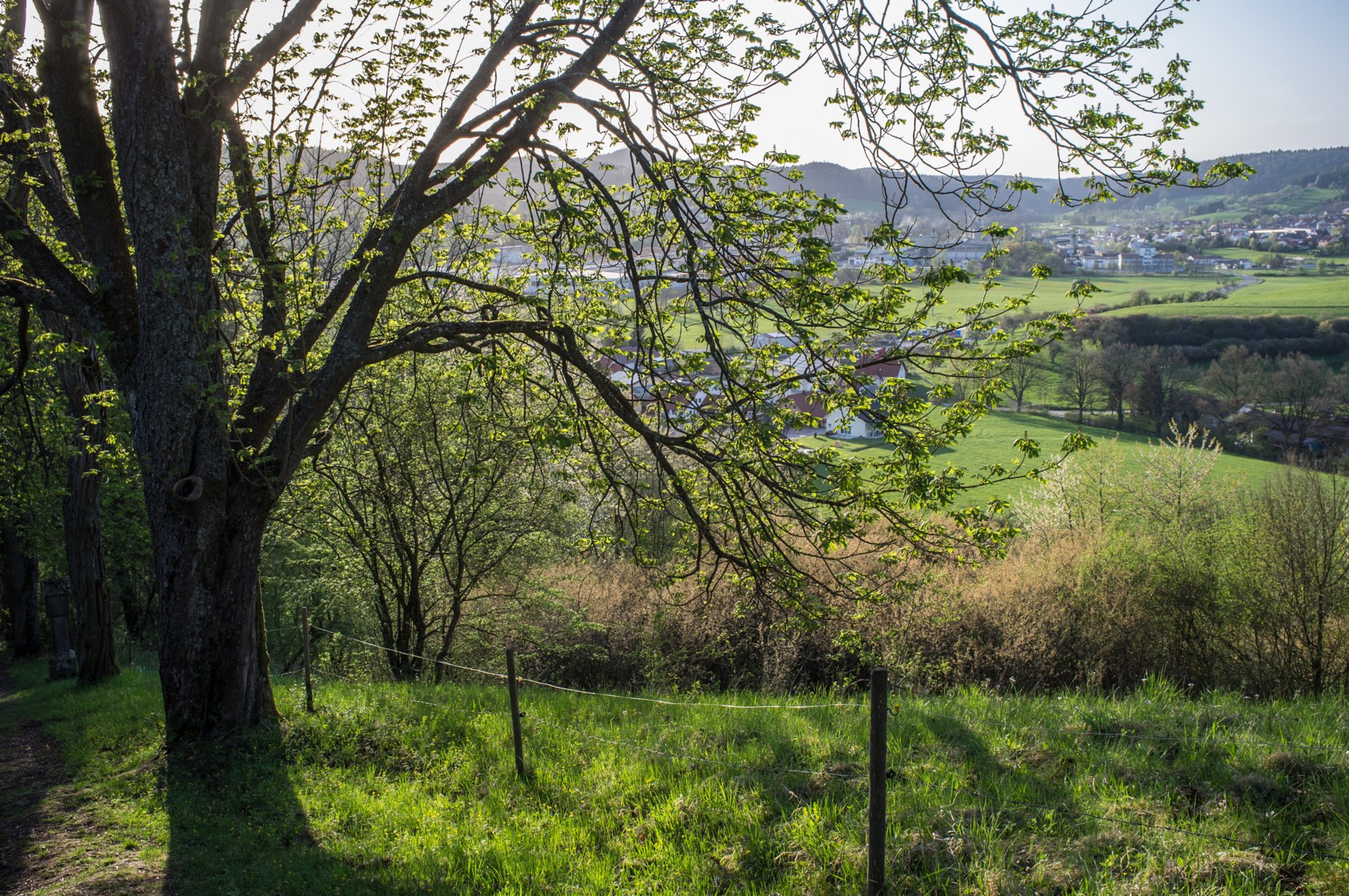 20120428_ökum-kirchenweg_032 