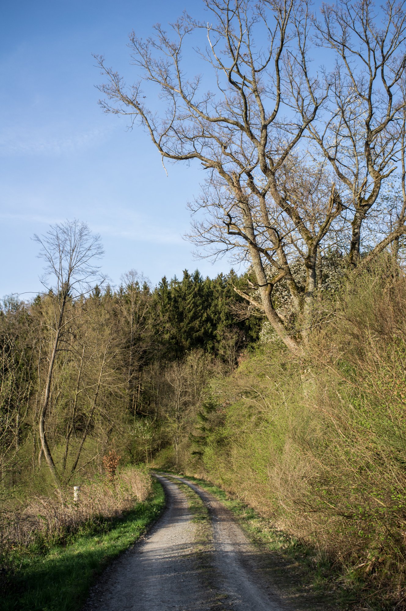 20120428_ökum-kirchenweg_036 